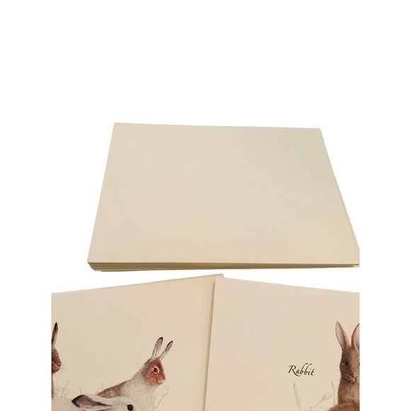 Earth Sky + Water Rabbit & Hare Assortment Notecard Set 8 Blank Cards with Envel - Picture 5 of 7